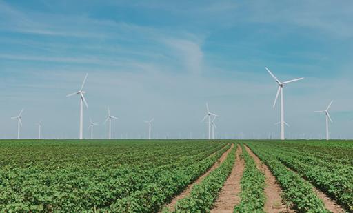 An Overview of Sustainable Management