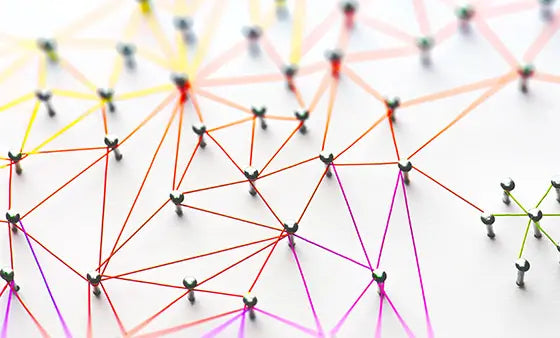 Networking for Success - NerdCerts